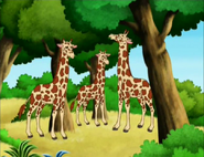 As tall as a tree!