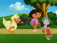 Swiper disguised as a duck, a "mambo duck".