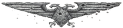 Aqila Bulletholes2