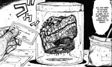 Kaiman'sSeveredHead2.jpg