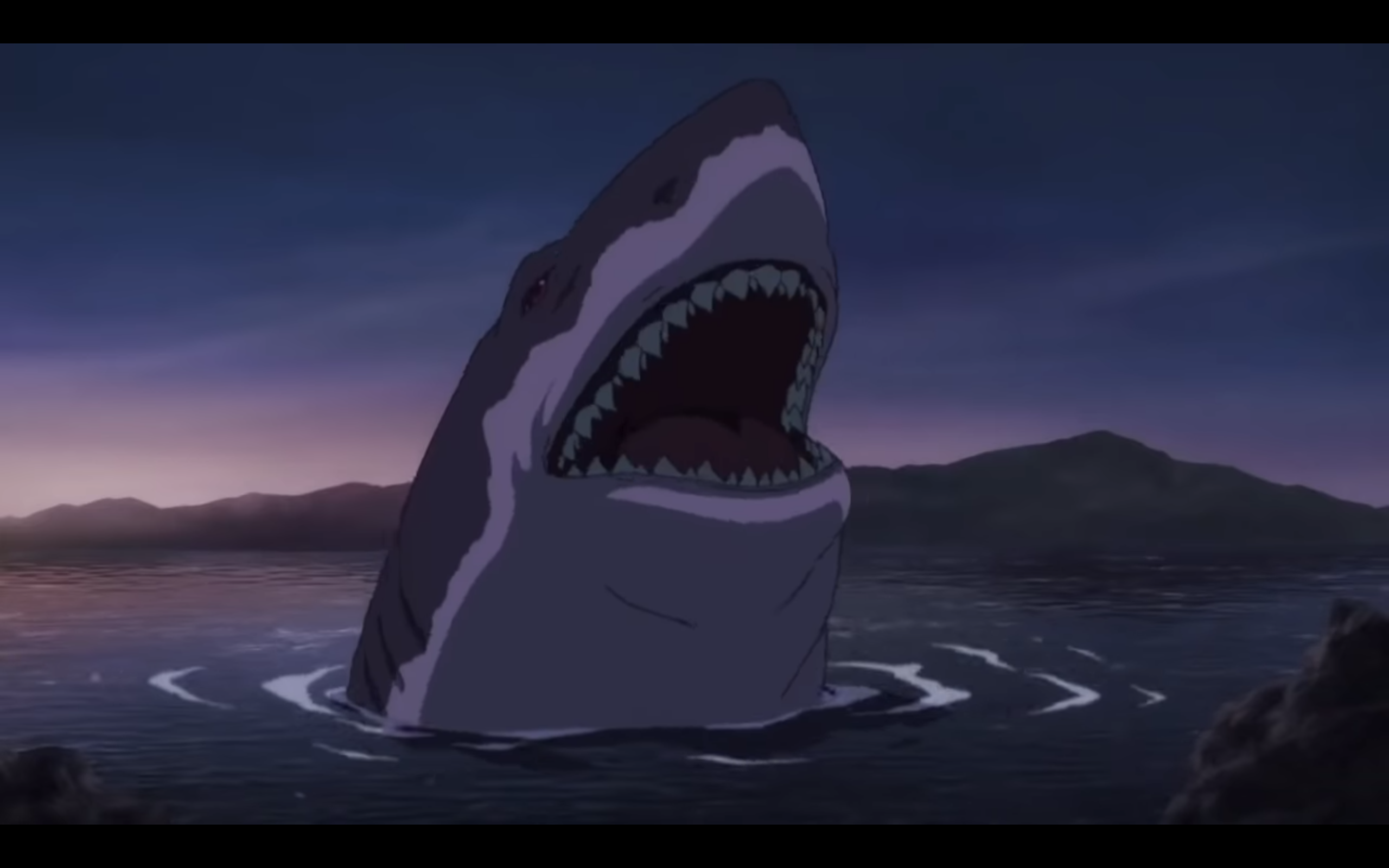 Shark - Animal - Zerochan Anime Image Board