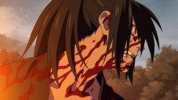 Full name : Hyakkimaru Anime : Dororo - Anime Encyclopedia