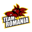 Team icon Romania