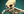 Dark Troll Summoner Skeleton Warrior icon