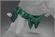 Belt of Ultoria