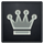 Crown icon grey