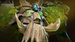 Treant Protector icon.png