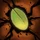 Leech Seed icon