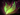 Faerie Fire icon