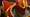 Dragon Knight icon