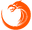 TNC Pro Team