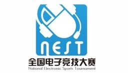 Nest 2013 logo