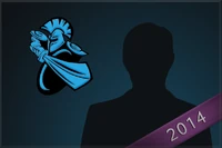 2014 newbee large