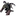 Roshan model