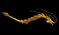 Dragon effect