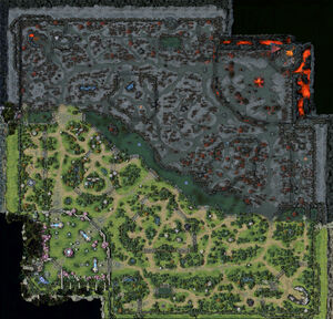 dota 2 map ward