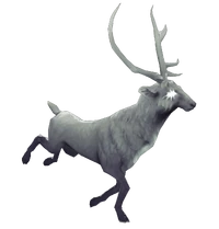 Keeper of the Northlight Set horse