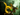 Pipe of Insight icon.png