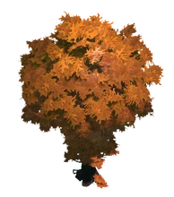 Autumn Terrain Tree 2 Preview