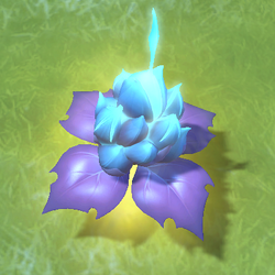 Lotus healing shop