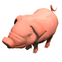 Hex pig model