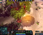Giant New Bloom tree.jpg