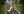 Nature's Prophet Treant icon