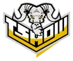 Team icon T Show