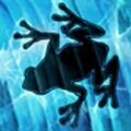 IceFrog's avatar that he uses on his Twitter account.