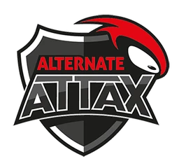 Team icon Team Alternate