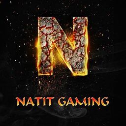 Team logo Natit Gaming