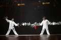 Martial arts performance on stage