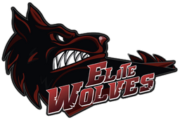 Team icon Elite Wolves