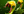 Venomancer Plague Ward icon