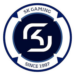 Sk gaming shop top