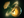Pudge Wars Reveal icon.png