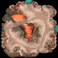 Minimap Aghanim's Labyrinth The Demonic Dozens.png