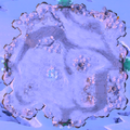 Minimap Aghanim's Labyrinth The Bomb Squad.png