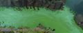 Slime river.png