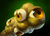 Observer Ward icon