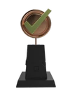 Trophy winter2017 achievements1