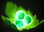 Centaur Warrunner – Dota 2 Wiki