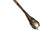 Conscript's Wand