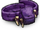 Purple Kobold Belt
