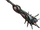 Abomination Illusion Mace