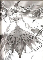 Corbenik's form in XXXX