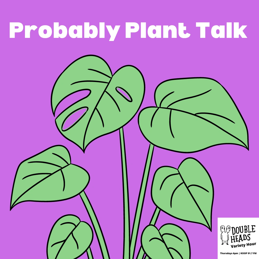 Probably Plant Talk Double Heads Variety Hour Wiki Fandom