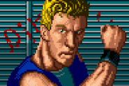 Double Dragon 3: The Rosetta Stone