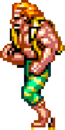 Super Double Dragon