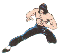 Chin Taimei, an enemy introduced in the NES version of Double Dragon, was apparently designed after Bruce Lee and Jackie Chan.